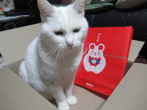 今年はねずみくんともともだちになり 頑張る所存でございます…！