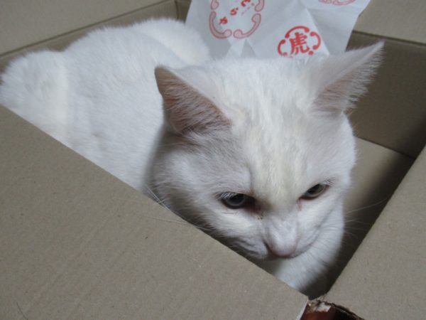 昨年は大変お世話になり、ありがとうございました