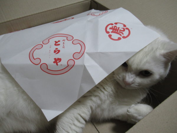 決してふざけてはいませんし、 決して遊びたいわけではありません。。。